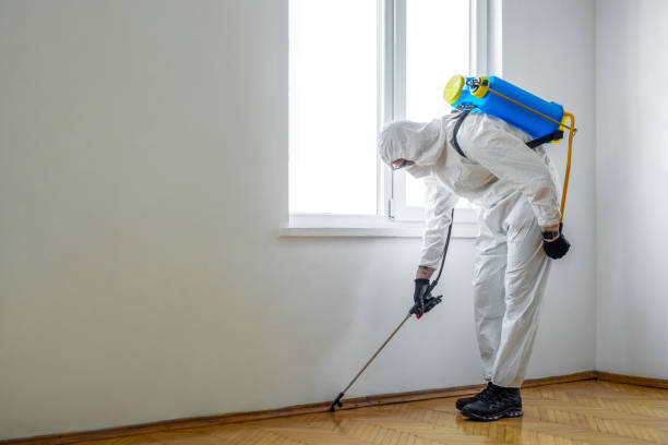 Best Pest Prevention Services  in Brices Creek, NC